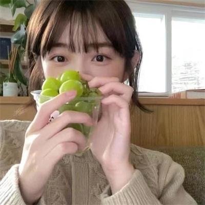 荒岭录影